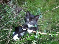 2010-08-22--P8220025