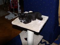 2010-08-29-19h46m16P1130557