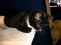 2010-08-29-21h06m42IMG 1986