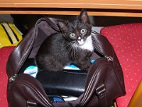 2010-09-14-16h59m14P1130571