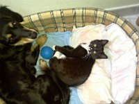 2010-10-02--IMAG0309