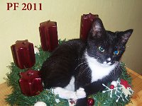 2010-12-05-15h40m17PF2011-Zuzana