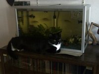 2011-04-18-07h51m10Praha-20110418-00083