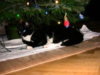 2011-12-24-00h59m12IMG 2775