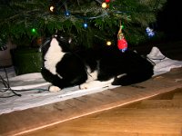 2011-12-24-00h59m18IMG 2776