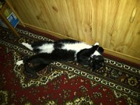 2012-01-08-22h25m43Praha-20120108-00260