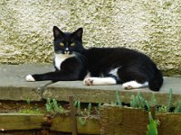 2012-07-27-15h42m43P1000541