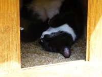 2012-07-28-12h37m27P1000923