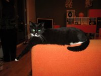 2012-09-17-19h39m08IMG 7876