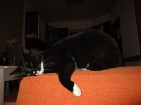 2012-09-17-21h30m36IMG 7878