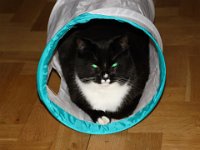 2013-03-29-19h26m24IMG 1449