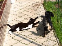 2013-05-05-12h16m56IMG 2400