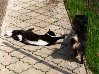 2013-05-05-12h17m26IMG 2408