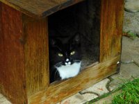 2013-06-02-18h40m05P1020934