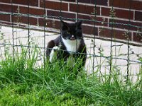 2013-06-04-17h38m12IMG 2796