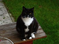 2013-06-06-20h00m54IMG 2887