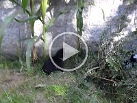 2010-08-22--P8220036