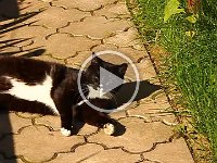 2013-06-11--MVI 2918